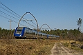 Vu au sud de Morcenx, cette UM de Z 21500 file sur Dax le 18.03.2009